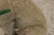 Vintage Weathered Concrete Garden Dog Statue For Sale - Image 12 of 15