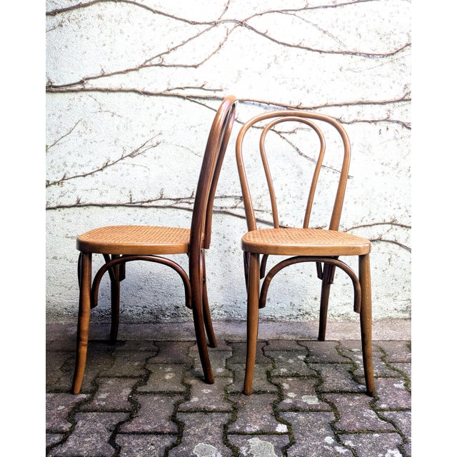 1960s Cane and Bentwood Chairs, 1960s, Set of 2 For Sale - Image 5 of 8