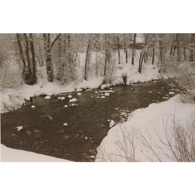 Contemporary Evelyn H. Lauder Snow Marshmallows, 1991 - Signed For Sale - Image 3 of 5