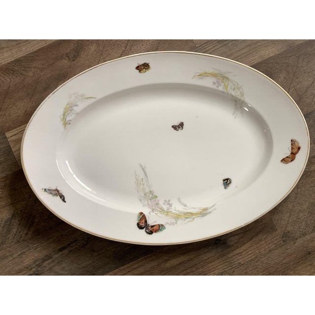 Haviland Limoges Meadow Visitors Platter With Butterflies & Flowers