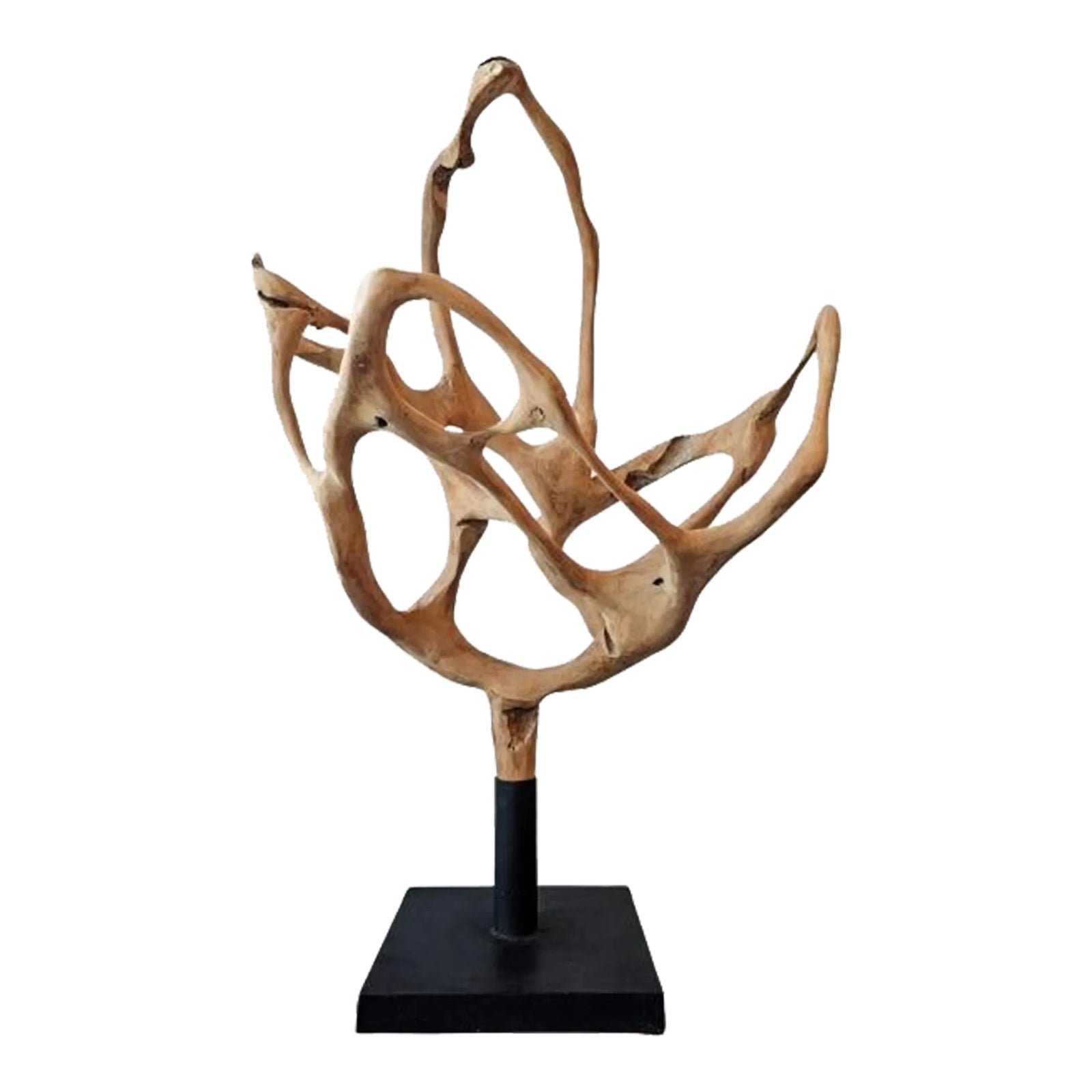 Large Organic Free-Form Teak Root Wood Sculpture | Chairish