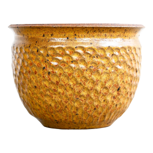 David Cressey and Robert Maxwell Thumbprint Planter for Earthgender - 1970s
