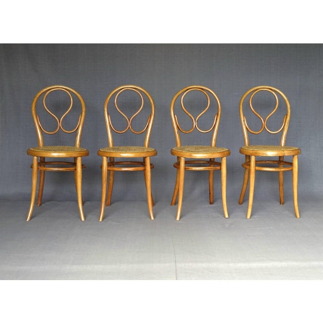 Chairs in Natural Oak by Michael Thonet for Gebrüder Thonet, Set of 4 For Sale - Image 11 of 11
