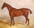 English 19th Century English Horse Oil on Canvas Painting by Claude Lorraine Ferneley For Sale - Image 3 of 10