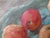 2020s Oil Painting Apples Mishurovsky v. V. For Sale - Image 5 of 9