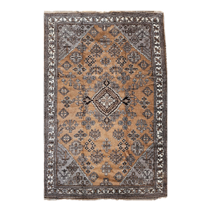 Mid 20th Century Bakhtiari Rug