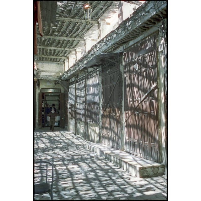 Paul Cooklin, Dappled Shade, Photograph For Sale