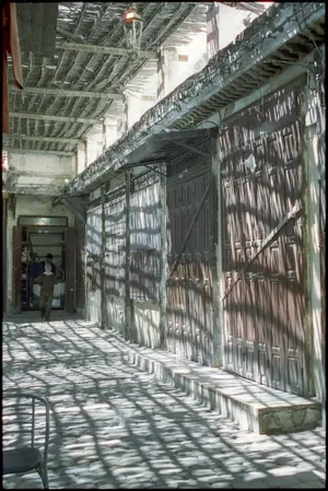Paul Cooklin, Dappled Shade, Photograph