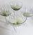 Green Bubbled Goblets- Set of Four For Sale - Image 10 of 12