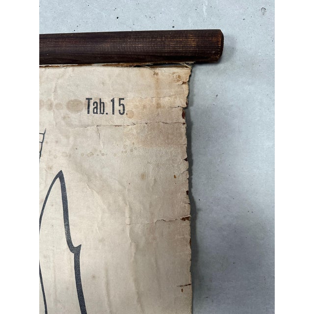 Vintage Periodic Table of the Elements School Chart in Linen by Paul Pfurtscheller, 1920s For Sale - Image 9 of 14