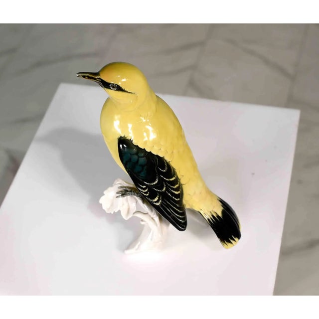 Yellow Early 20th Century Porcelain Indian Golden Oriole by Karl Ens Volkstedt Germany For Sale - Image 8 of 12