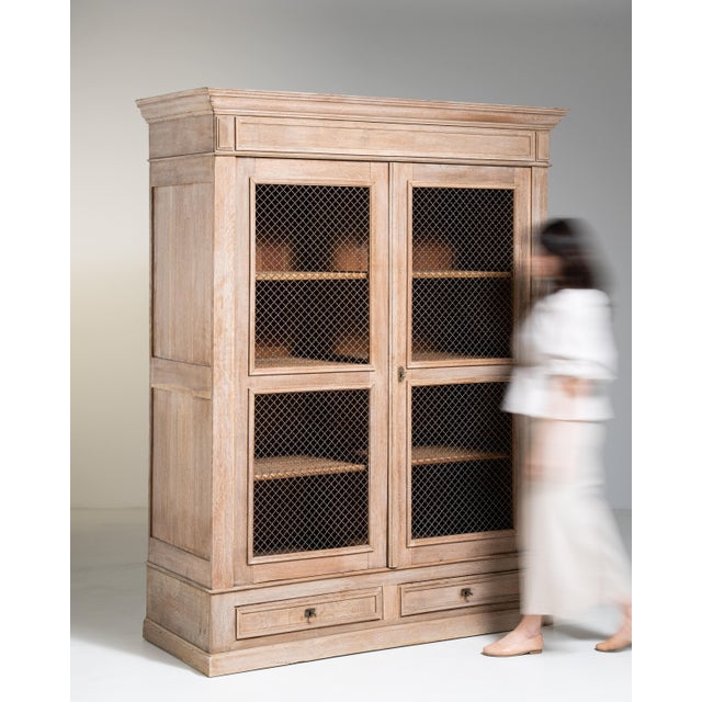 Louis Philippe Vitrine with Mesh Doors, Antique, France, Circa 1880 For Sale - Image 13 of 17
