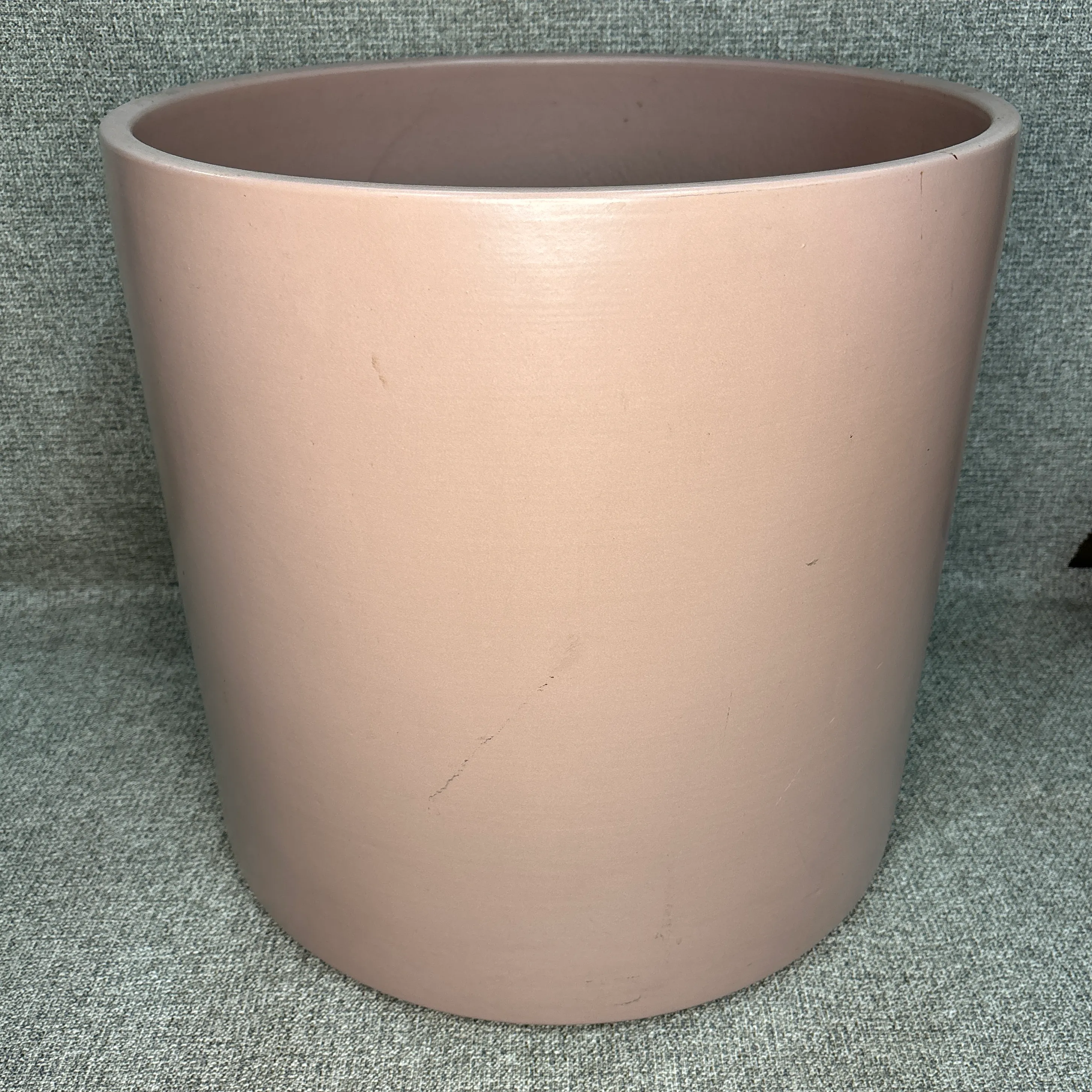 parlor palm indoor plant Parlor Plant in Grant Planter The Sill Base Color: Black main image 1
