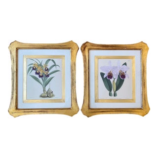 Late 20th Century English Traditional Orchid Prints, Framed - a Pair For Sale
