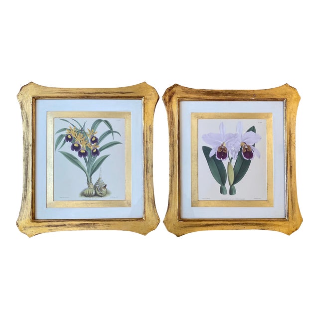 Late 20th Century English Traditional Orchid Prints, Framed - a Pair For Sale