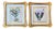 Late 20th Century English Traditional Orchid Prints, Framed - a Pair For Sale