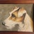 Wire haired jack Russell terrier portrait. Unsigned. Beautifully executed and his personality captured really well