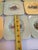Vintage 1950s "Empire Shelton Ivory Plate"Manufacturer in England Set of Nine(9) Square 5.5" Plates For Sale - Image 4 of 9
