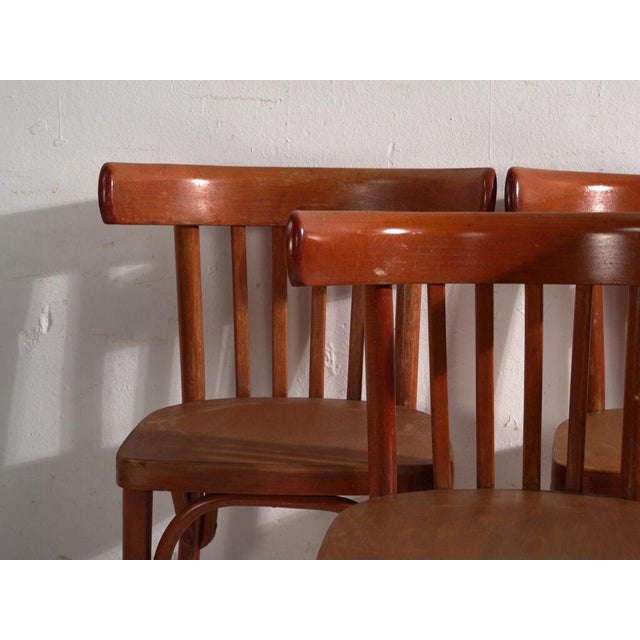 A set of four antique chairs in bentwood, with a curved crest rail over vertical splats and a moulded board seat....