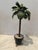 Pair of Tole Palm Trees in Planter Boxes For Sale In New York - Image 6 of 7