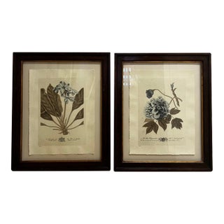 Two Trowbridge Framed Botanical Prints Limited Edition - Pair For Sale