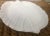 Late 20th Century White Philodendron Palm Leaf Ceramic Platter For Sale - Image 5 of 7