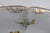 Mid 20th Century Dresden Porcelain Serving Bowl Scalloped Rim Hand Painted Floral Details For Sale In Miami - Image 6 of 16