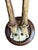 Roe Deer Trophy 190 Black Forest Antlers For Sale - Image 4 of 4