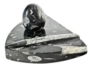 Carved Fossil Stone Wedge & Egg - 2 Piece Set