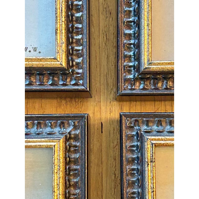 Vintage Emery Whilton Herbarium Botanical Prints - A Set of 4 For Sale In New Orleans - Image 6 of 11