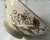 Ceramic Antique Wedgwood Beatrice Brown Transferware Bowl For Sale - Image 7 of 8