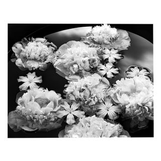 Ugne Pouwell, Summer Solstice, 2024, Photography For Sale