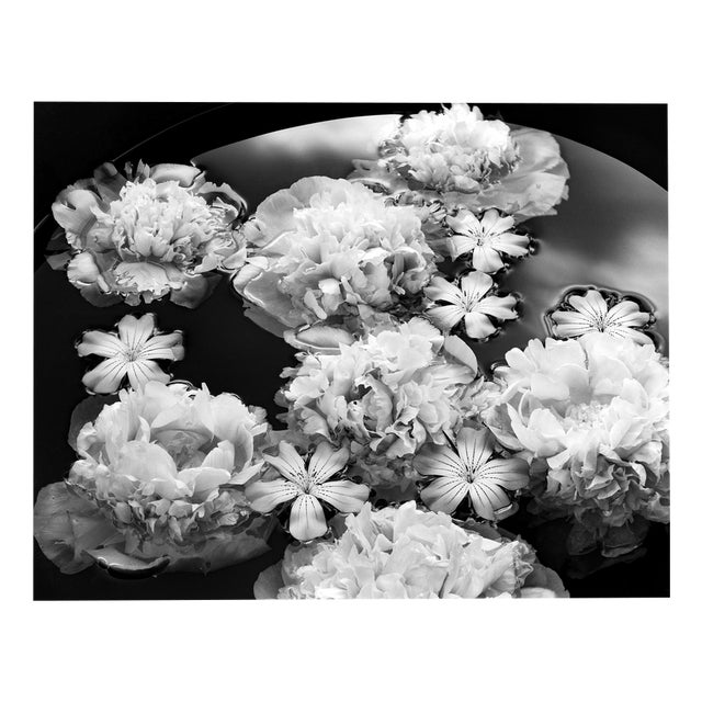 Ugne Pouwell, Summer Solstice, 2024, Photography For Sale