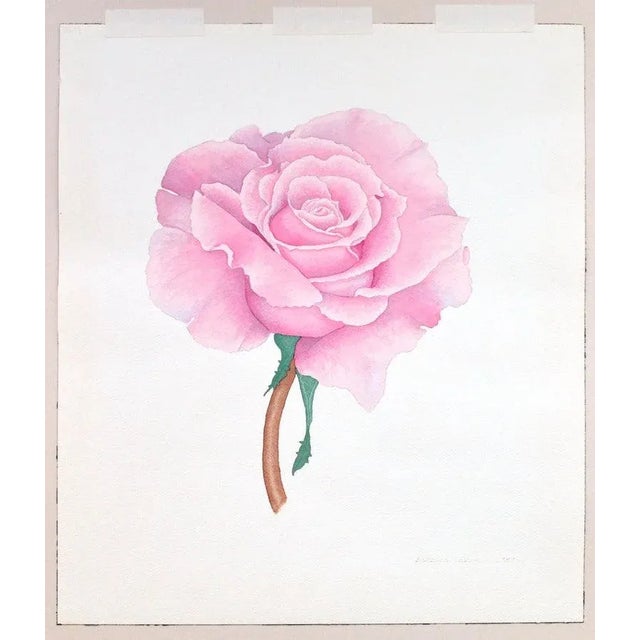 Vintage Pink Rose by Barbara Gibson For Sale - Image 4 of 6