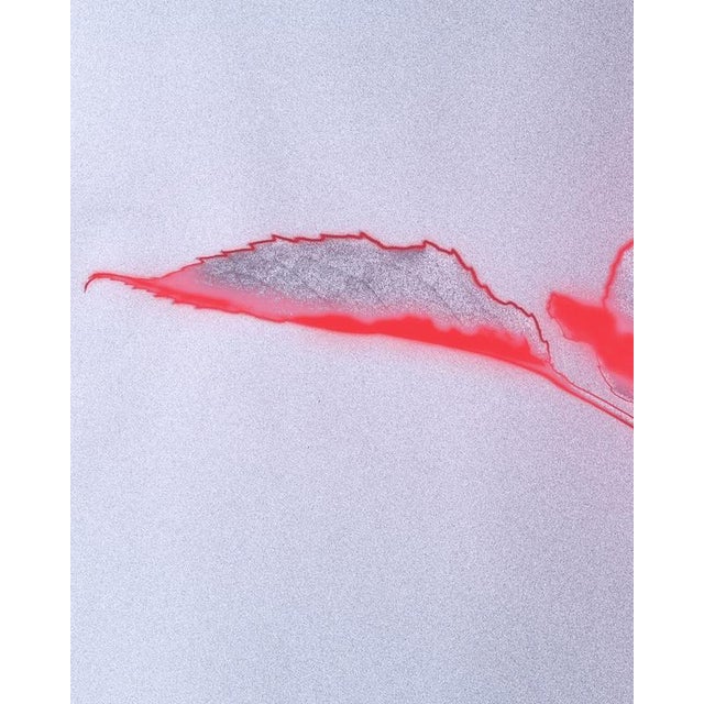 Contemporary Ugne Pouwell, Rose Glow, 2023, Photography For Sale - Image 3 of 6