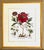 Large Botanical Original Lithographs Vibrant Color in Gold Gilt Frames Set of 2 Red Floral For Sale - Image 11 of 13