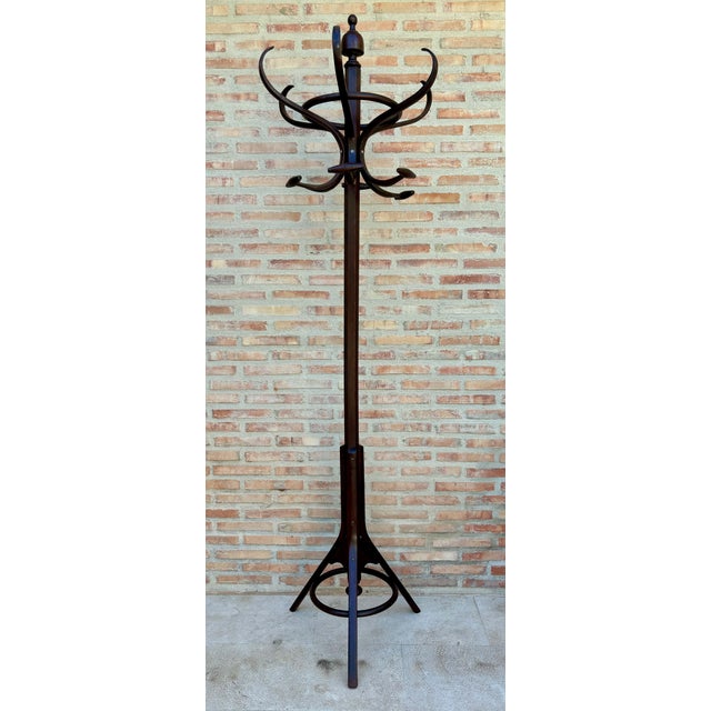 Mid-Century Modern Early 20th Century Coat Stand from Thonet, 1950s For Sale - Image 3 of 8