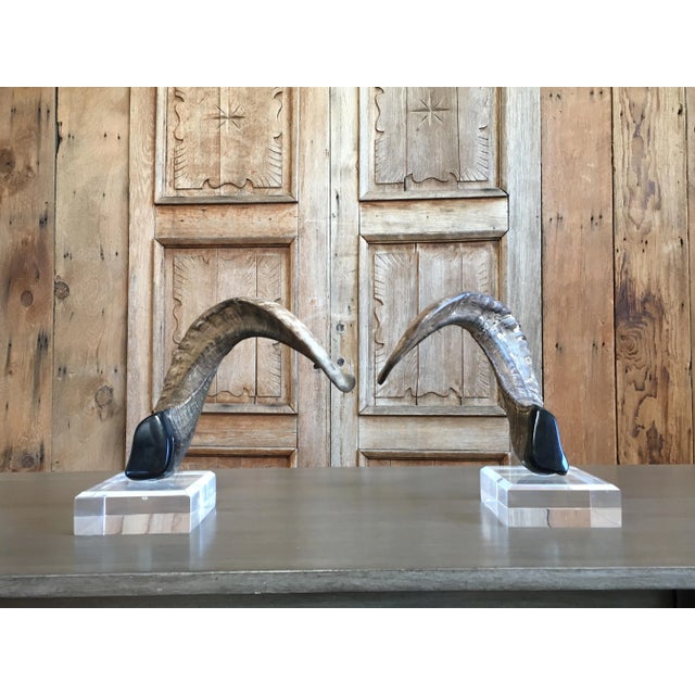 Late 20th Century Faux Ram Horns - a Pair For Sale In Dallas - Image 6 of 8
