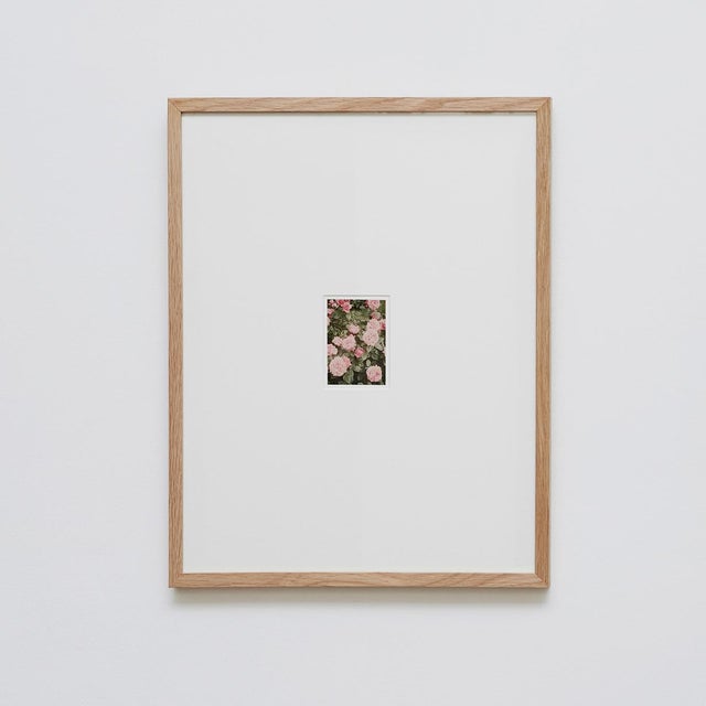 The Rose Garden Prints by David Urbano, 2018, Set of 9 For Sale - Image 16 of 18