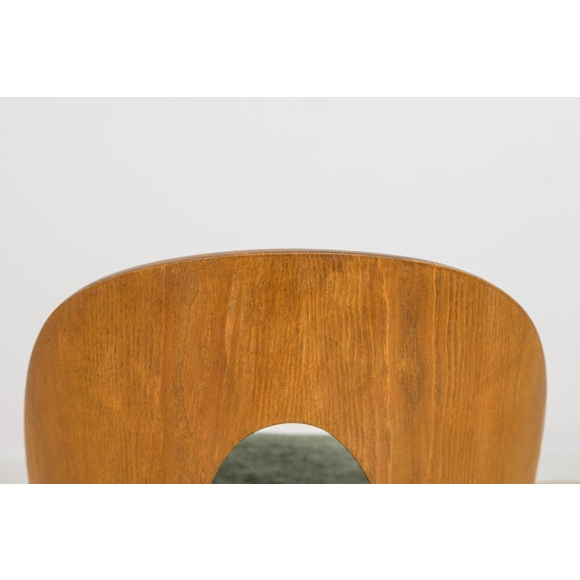 Mid-Century Modern Ash Veneer Dining Chairs by Antonín Šuman for Mier Topoľčany, Czechoslovakia, 1960s, Set of 4 For Sale - Image 13 of 18