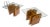 Pair Danish Teak Mid Century Modern Glass Tops End Side Lamp Tables Stands Mint For Sale