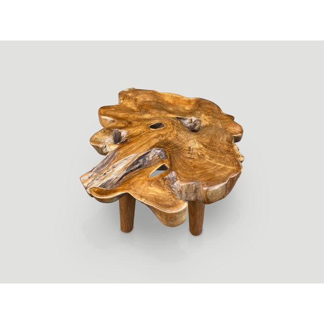 Andrianna Shamaris Single Slab Live Edge Coffee Table For Sale - Image 4 of 18