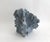 Stately Natural Blue Coral Specimen Coastal Decor For Sale - Image 9 of 9