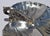 Early 20th Century Art Nouveau Silver Plated Shell Serving Platter Scalloped Edges For Sale - Image 9 of 13