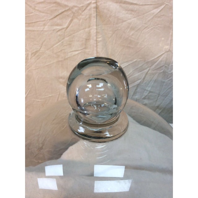 Transparent 1800s French Glass Dome, Cloche With Solid Glass Knob Handle For Sale - Image 8 of 12
