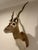 Late 20th Century Vintage African Gazelle Shoulder Mount Taxidermy With Horns For Sale - Image 5 of 12