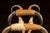 Mid 20th Century Monumental Longhorn Horn Throne Chair For Sale - Image 13 of 13