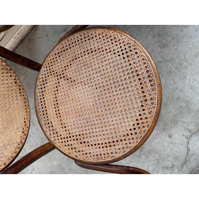 Bentwood and Beech Armchair from DLG Thonet For Sale - Image 9 of 11