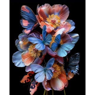 "Butterfly Garden 2" Original Still Life Photograph by Michael Filonow For Sale