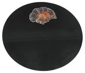 Circular Coffee Table in Black Resin and Petrified Wood by Ado Chale
